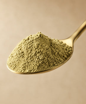 Take a Spoon Aritha Powder