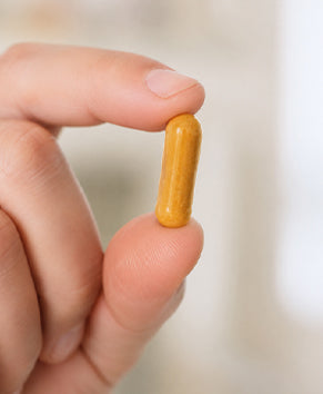 Take 1 Green Coffee Capsule