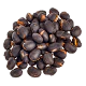 Kaucha