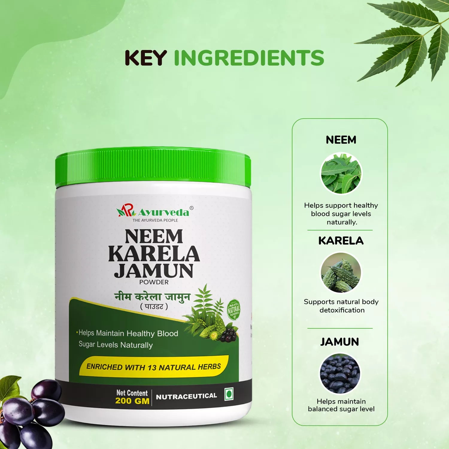Neem Karela Jamun Powder—For Healthy Blood Sugar Level (200g)