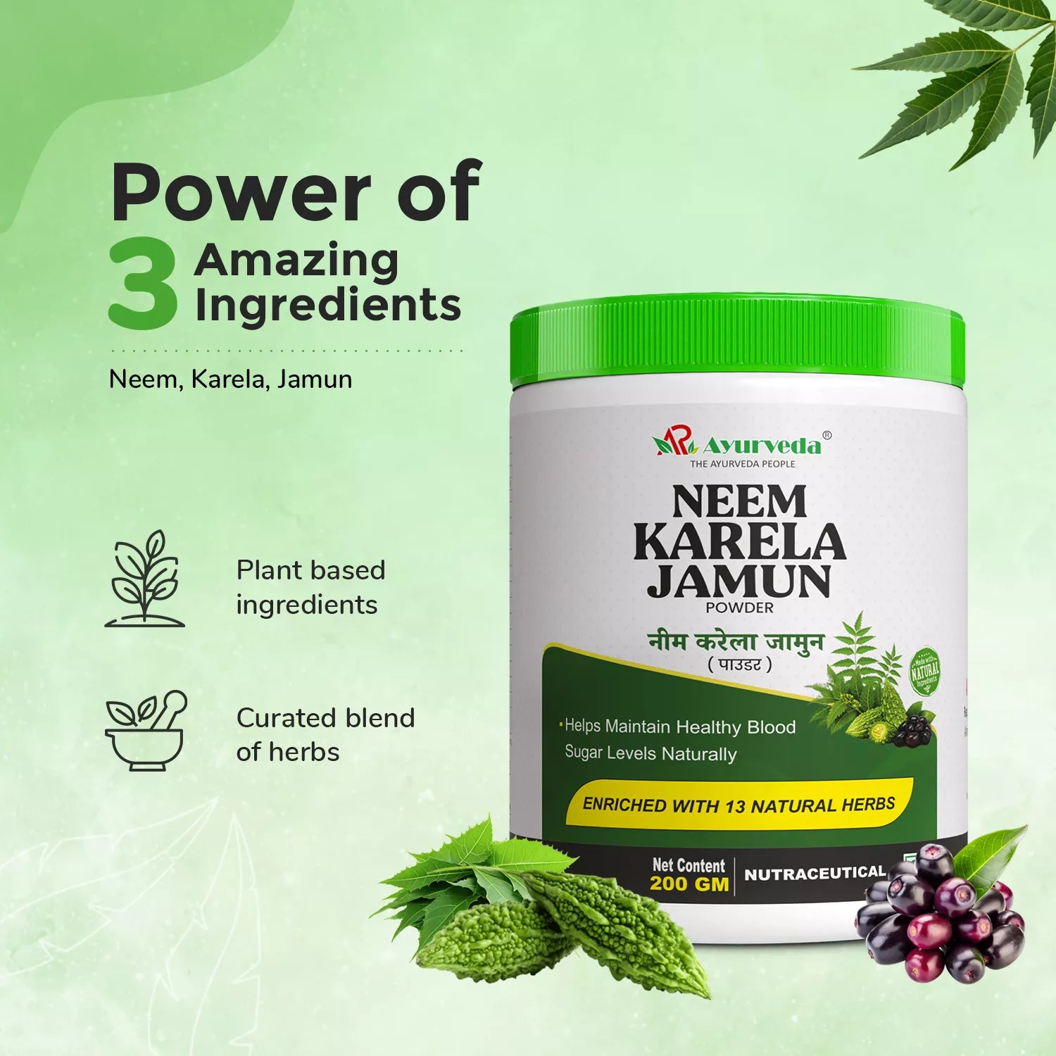 Neem Karela Jamun Powder—For Healthy Blood Sugar Level (200g)