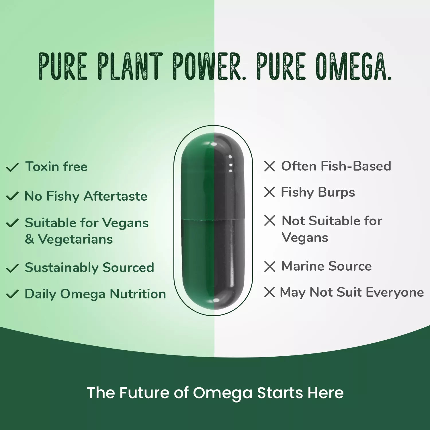 AR Ayurveda Omega-3 Capsules | Pure Vegetarian Supplement with EPA, DHA & Vitamin E