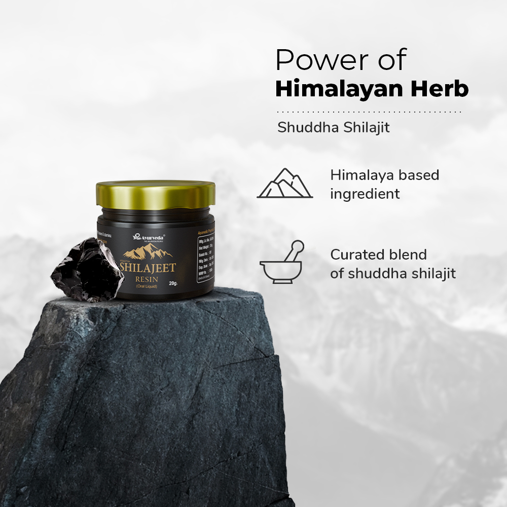 AR Ayurveda Shilajit Resin | Himalayan Origin Pure 20g