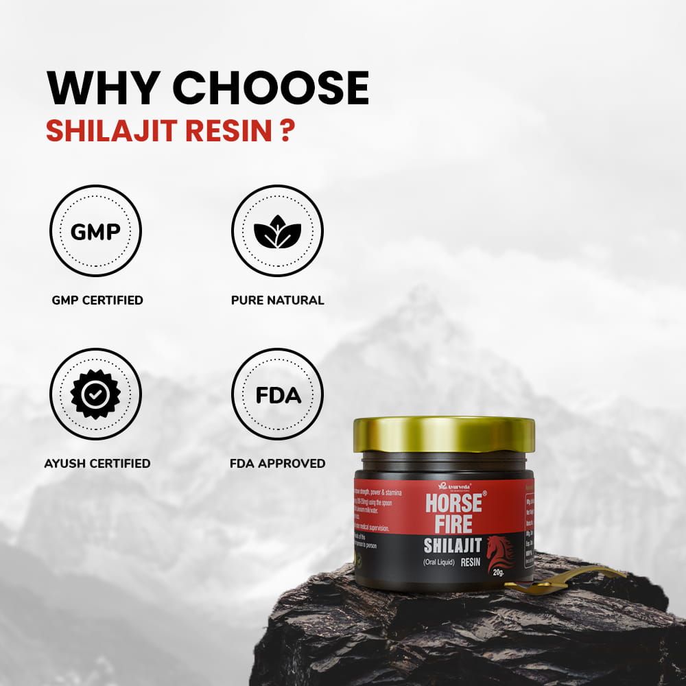 AR Ayurveda Shilajit Resin | Himalayan Origin Pure 20g