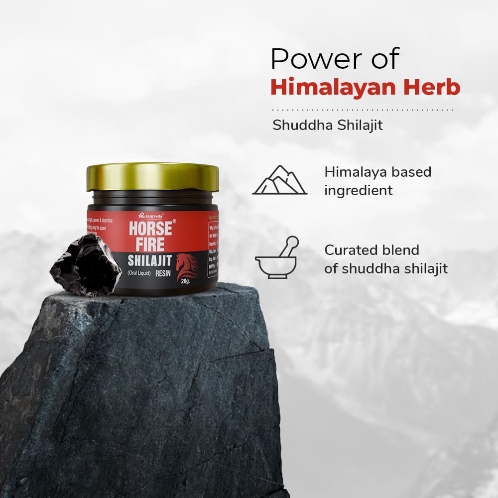 AR Ayurveda Shilajit Resin | Himalayan Origin Pure 20g